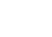 logo-ronix copy